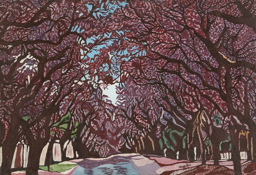 Jacaranda Avenue