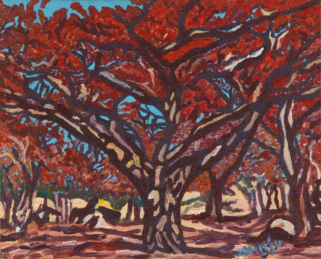 Msasa Woodlands