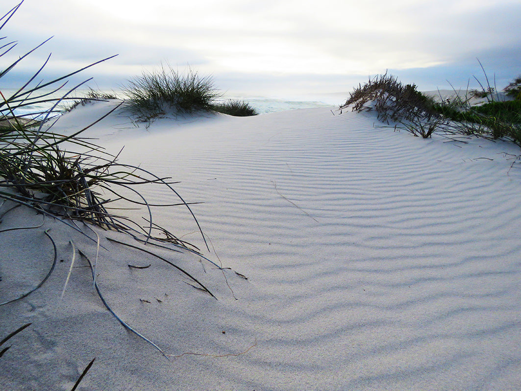 Observing the Quiet - Windswept and interesting