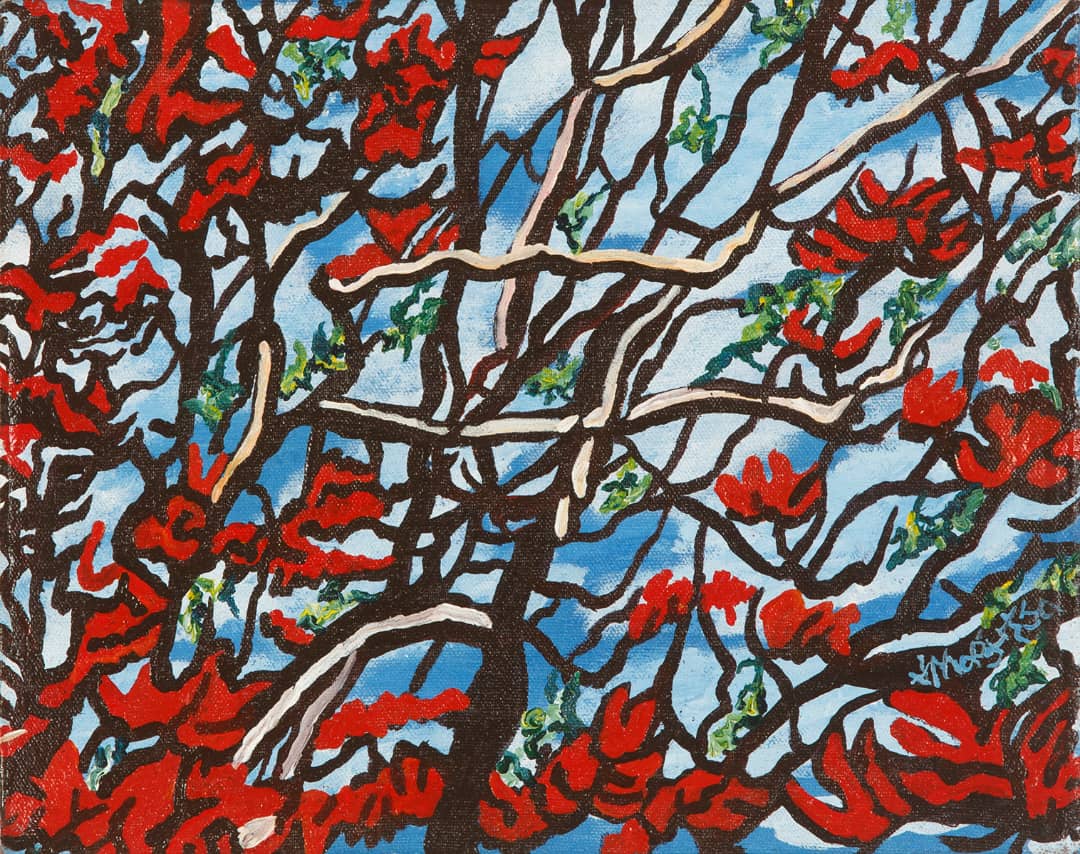 Erythrina