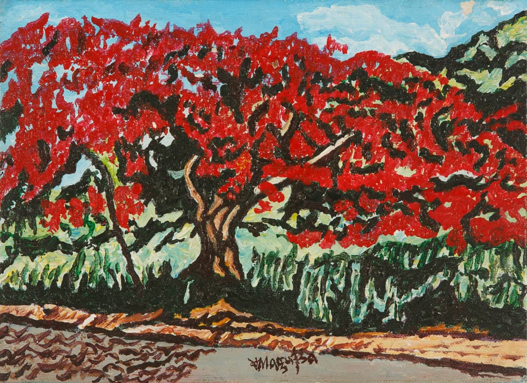 Roadside Flamboyant