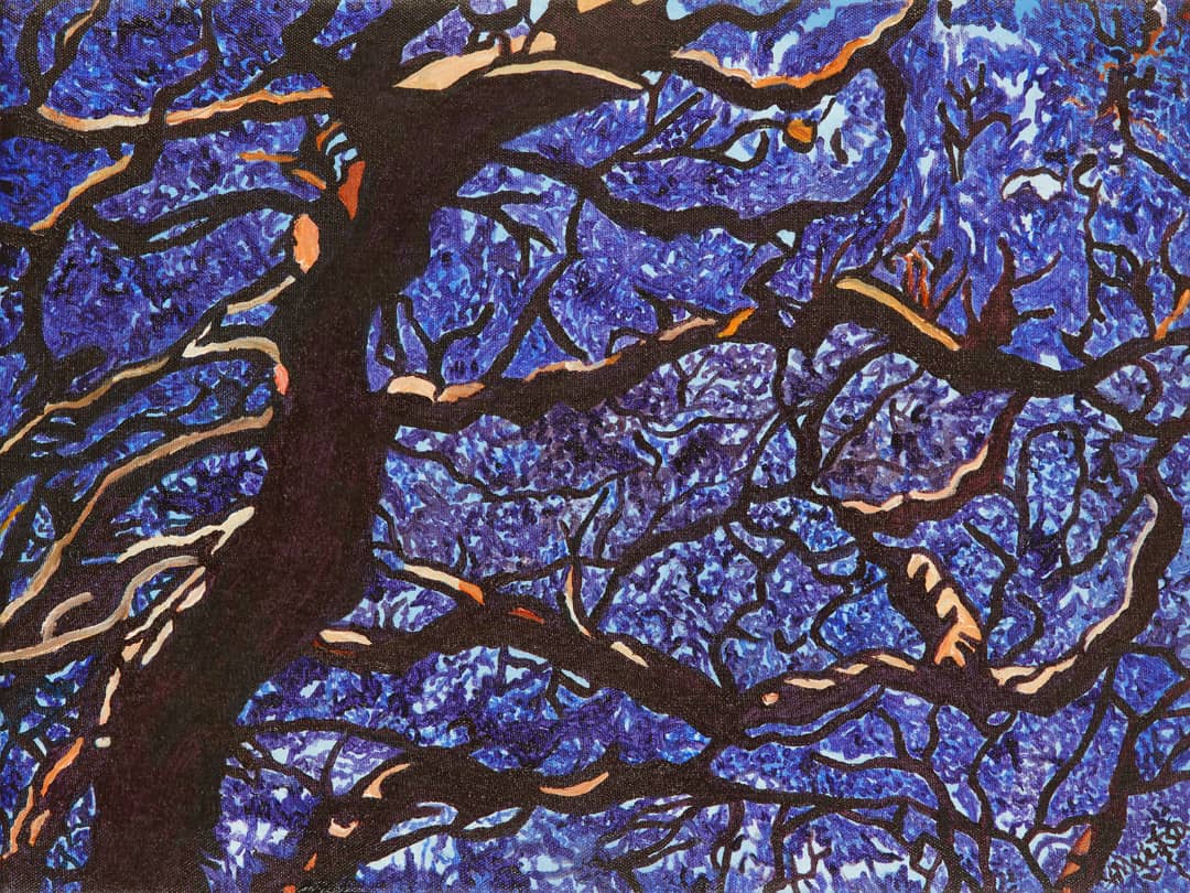 Up Close Jacarandas