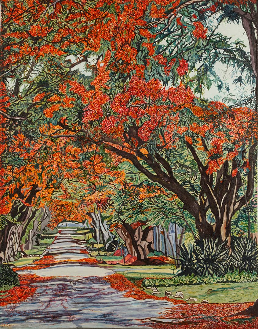 Lawson Avenue Flamboyants