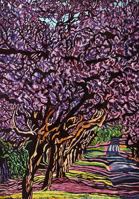 Ridgeway South Jacarandas