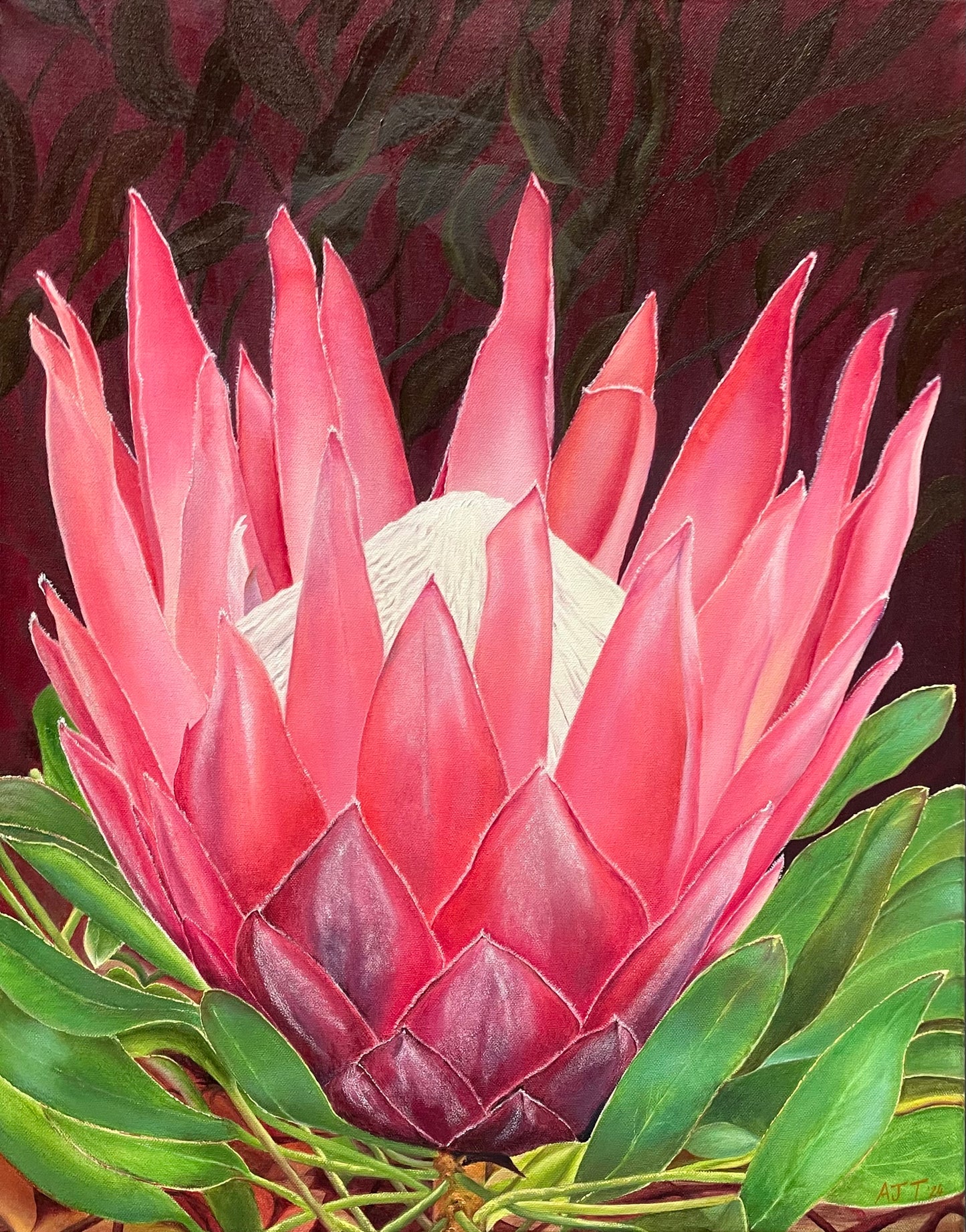 King protea