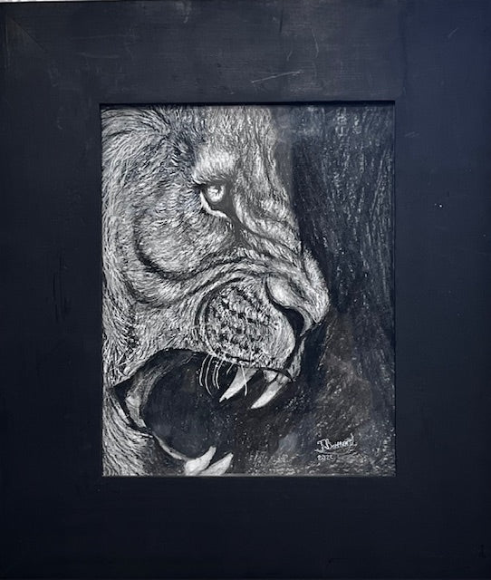 Aggressie (Agression)