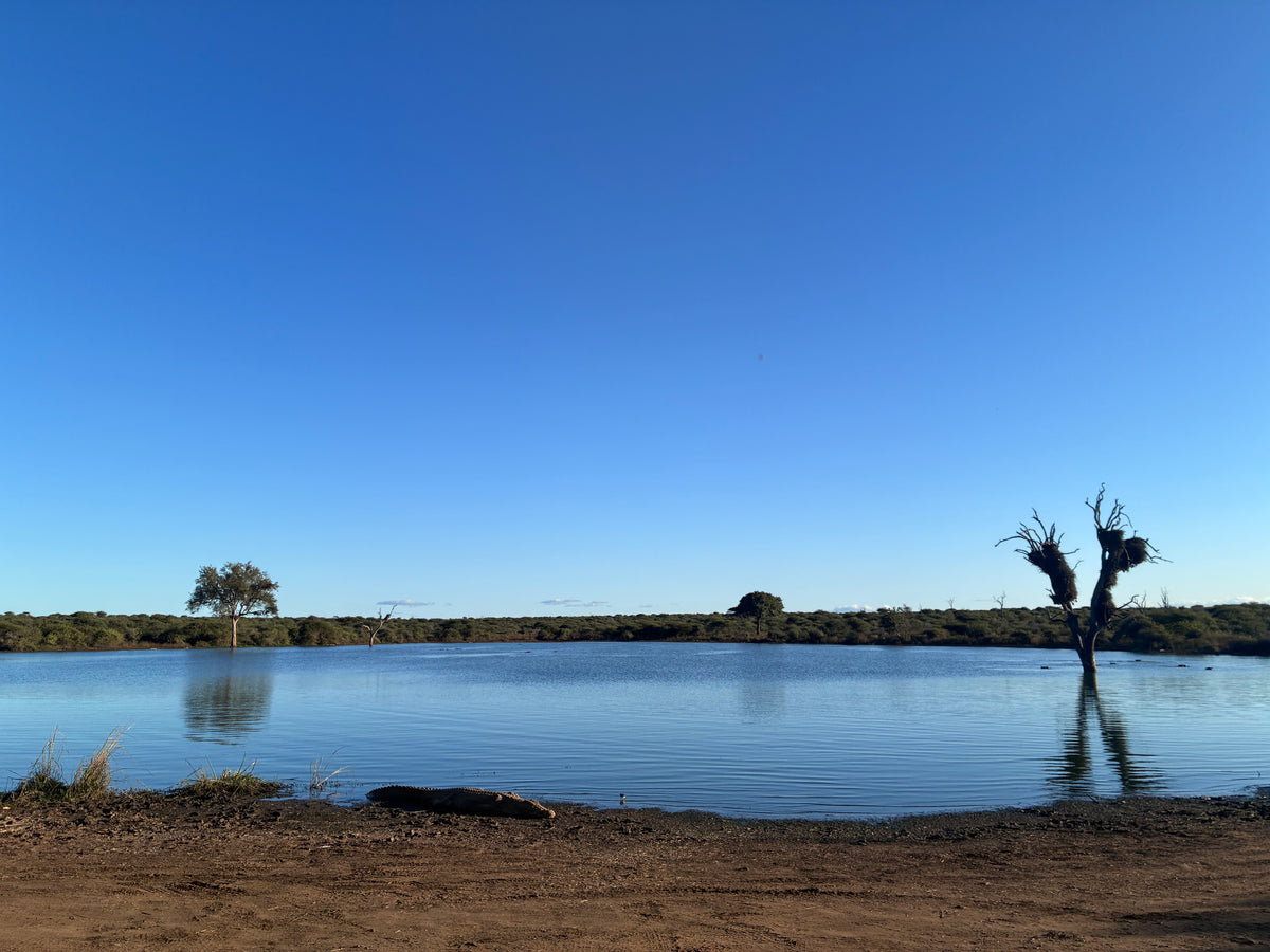 Reflections of Blue 3