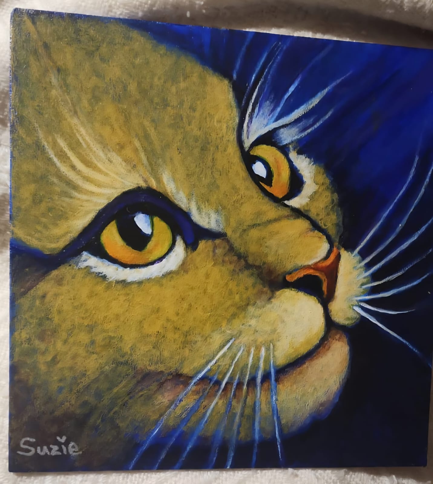 Cat's Delight
