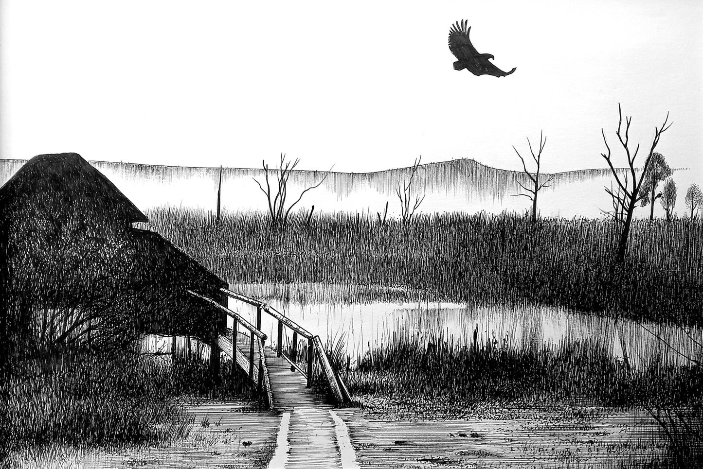 Coots Corner