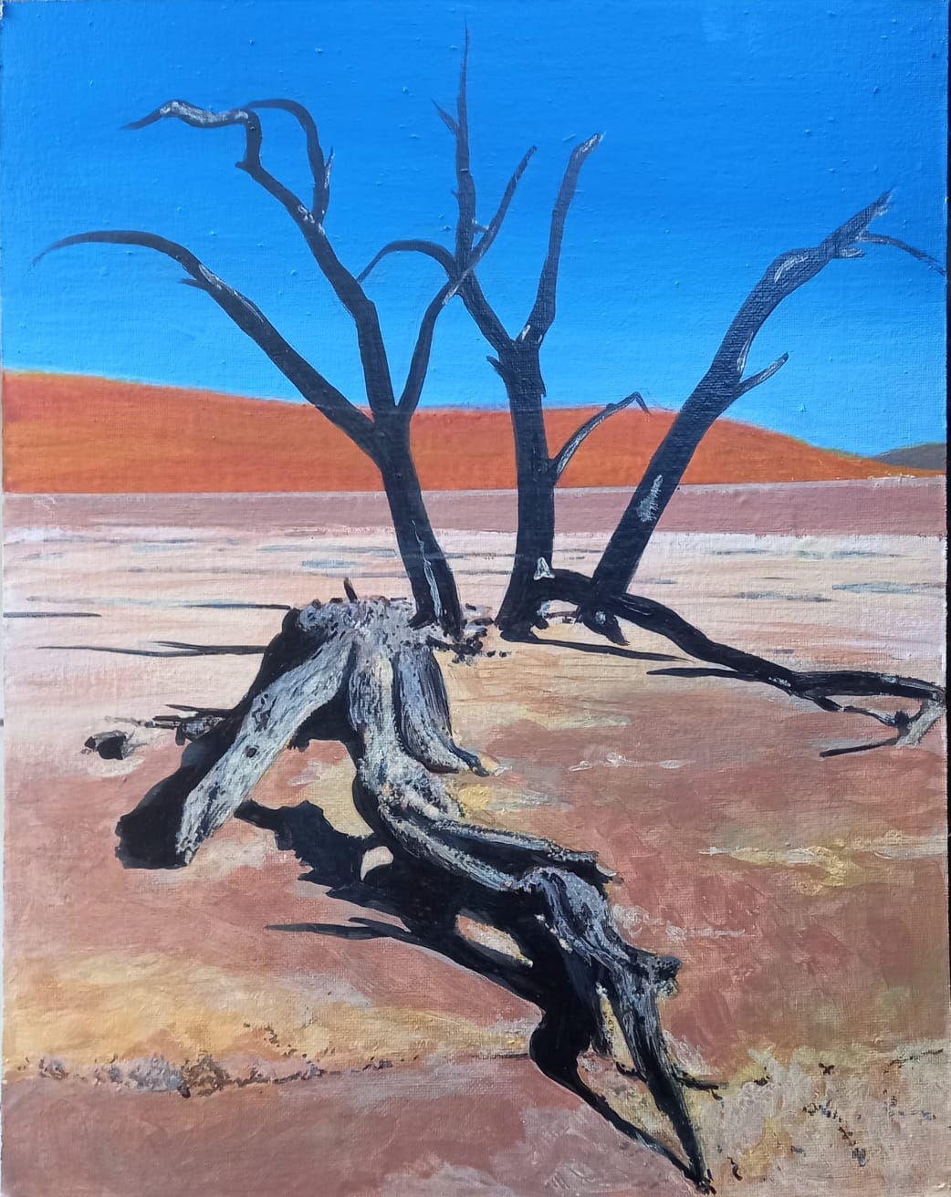 Deadvlei (Dooievlei) Tree