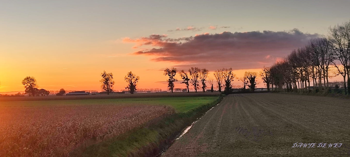 Sunset Fields St Michelle