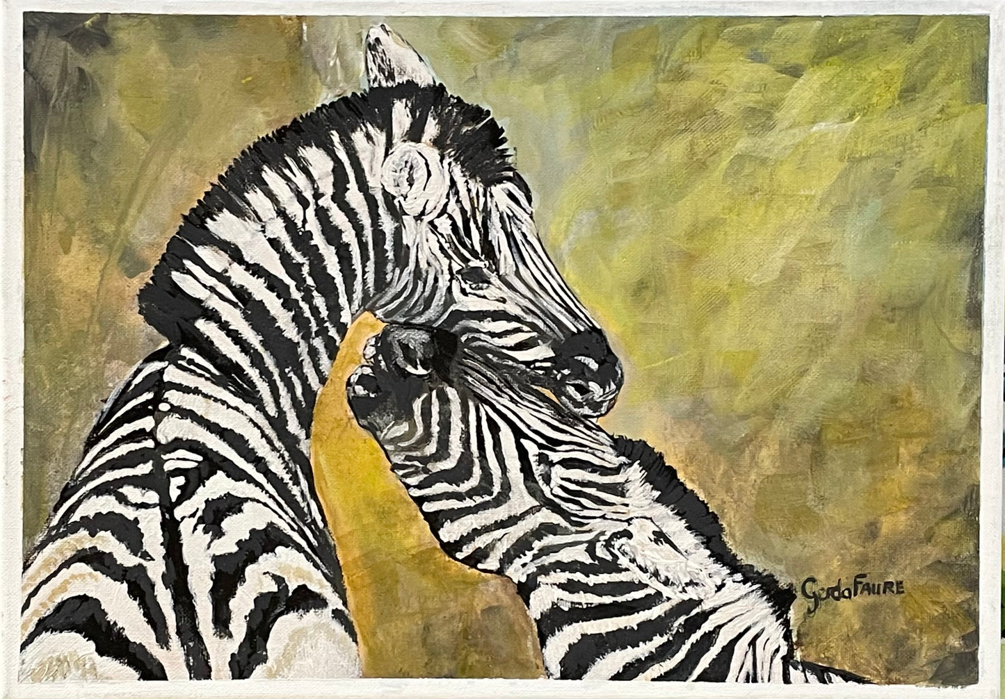 Two zebras