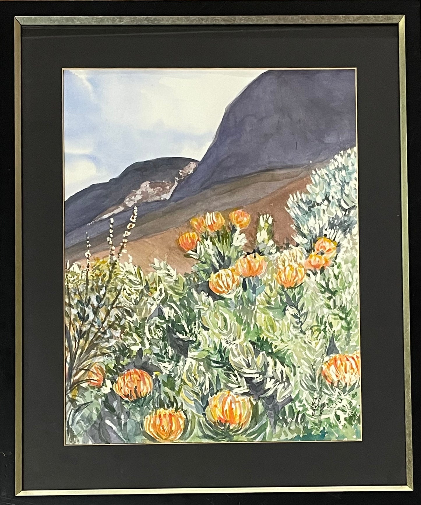 Pincushions at Kirstenbosch