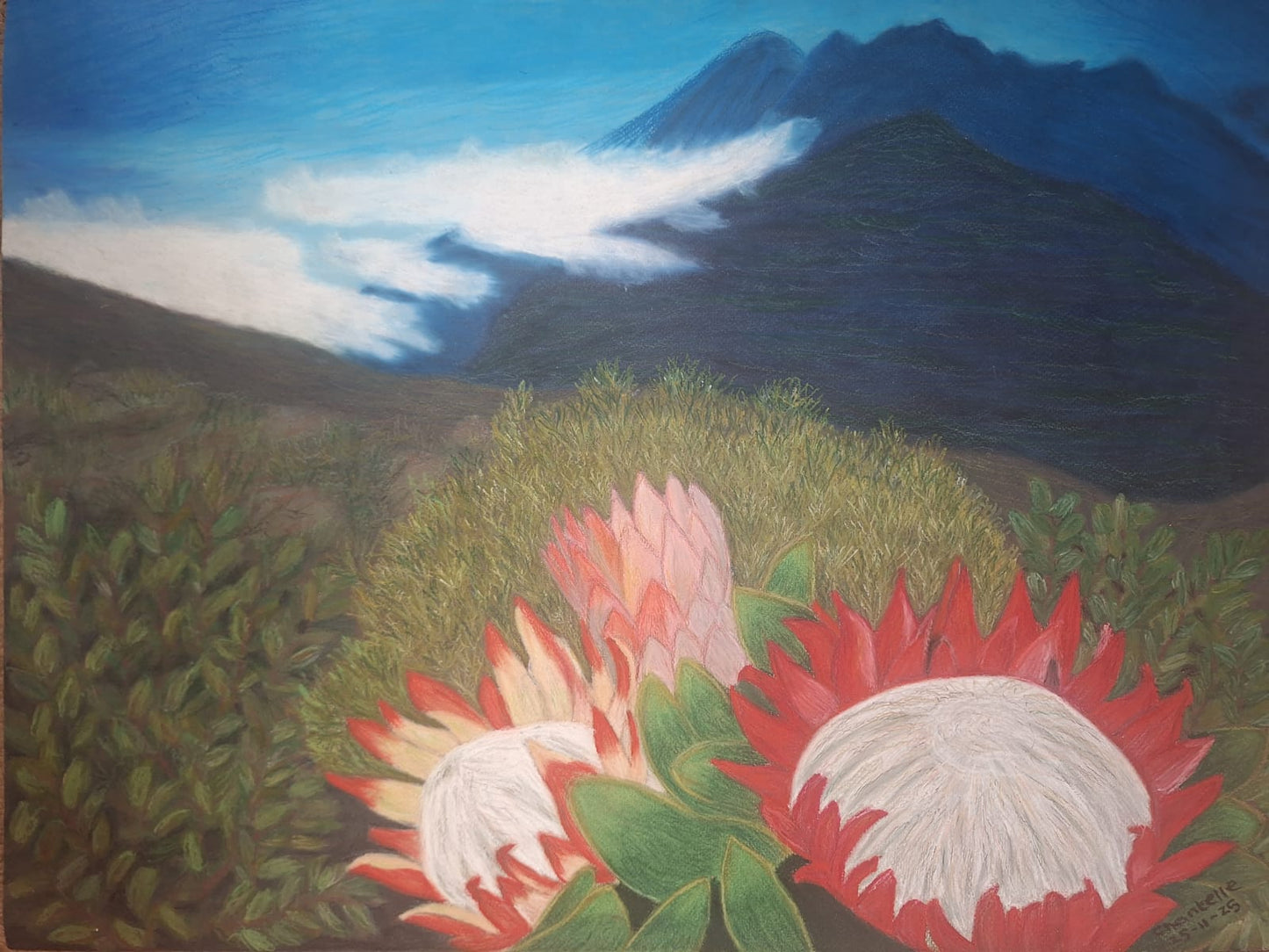 Gaurdians of the Mountains