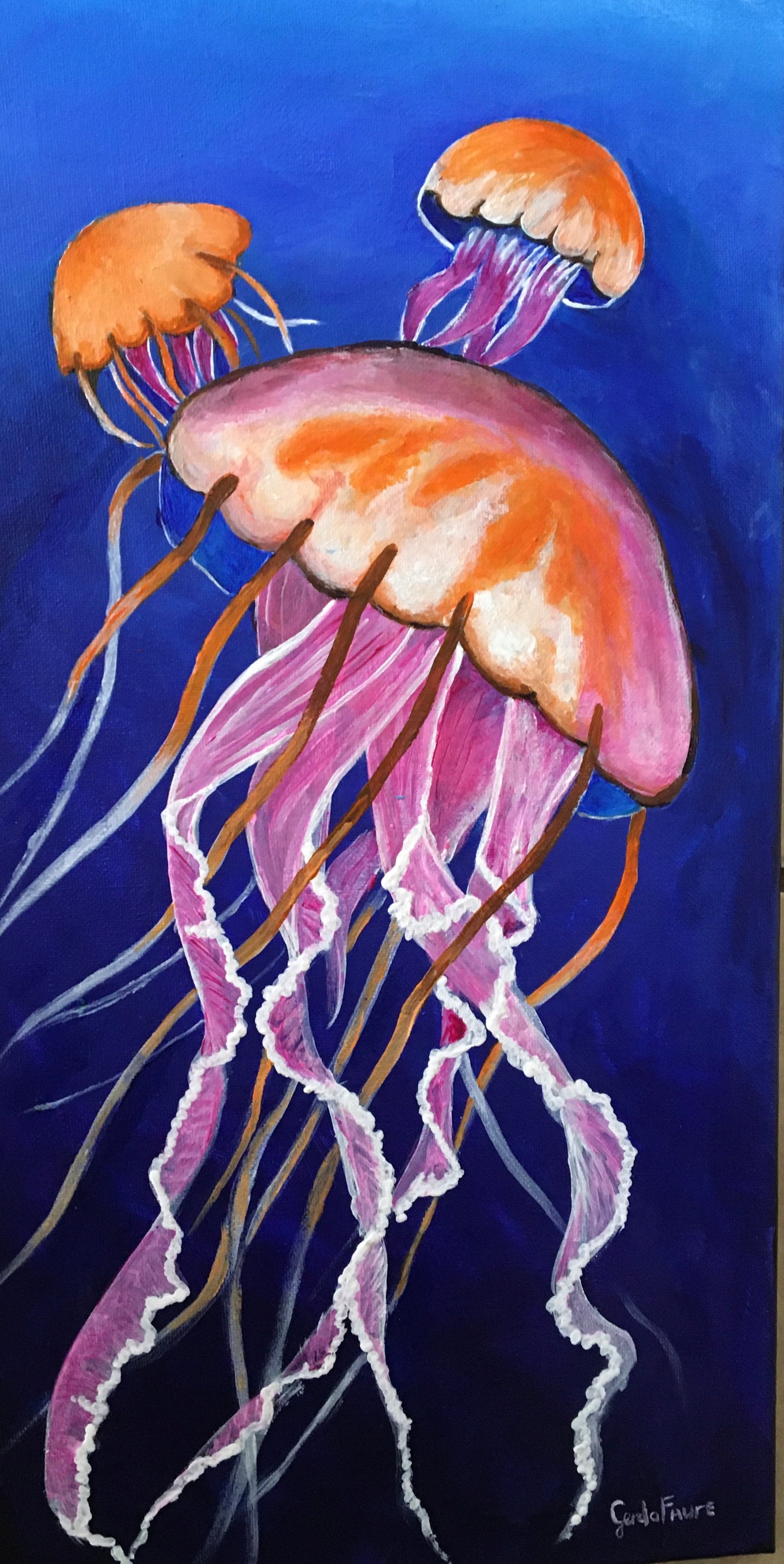 Jellyfish