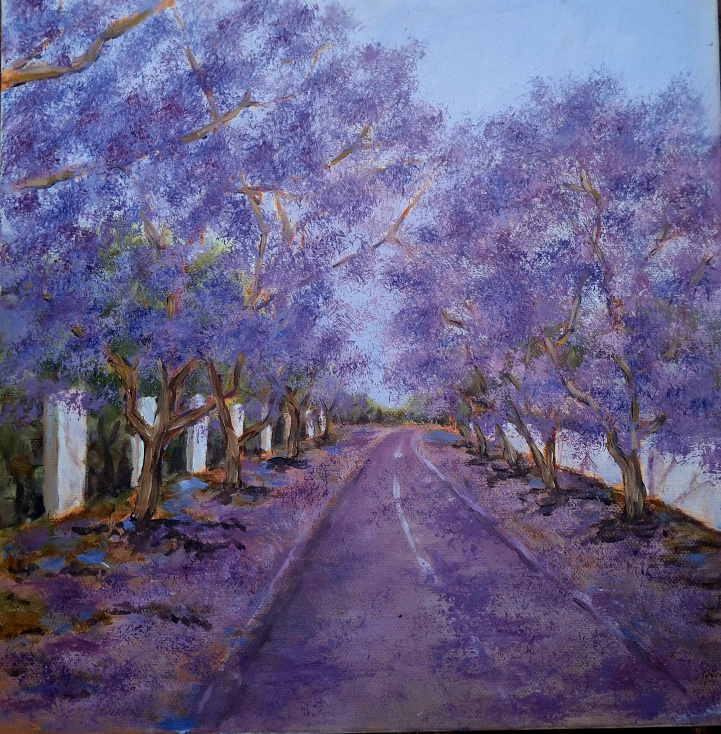 Jakarandastraat (Jacaranda Street) 2