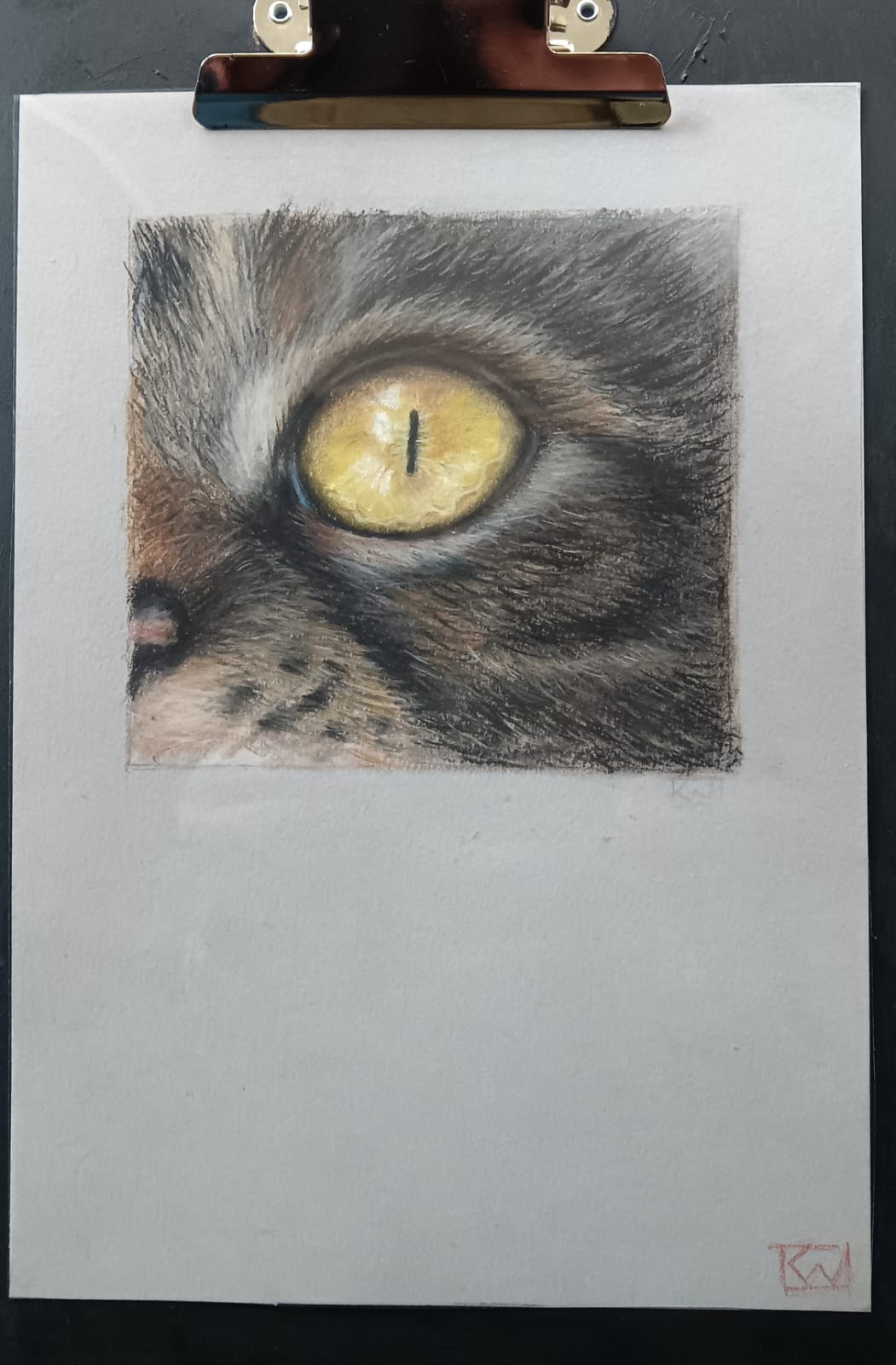 Kat-oog (Cat-Eye)
