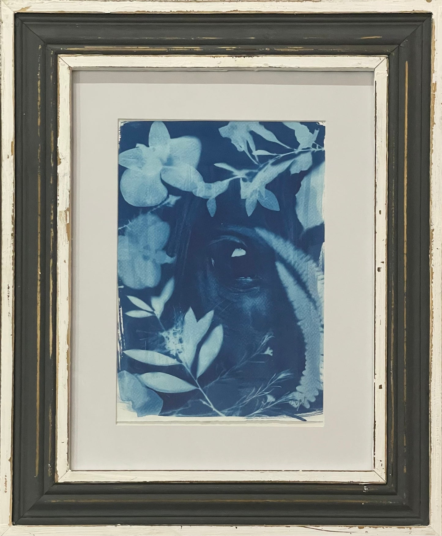 Beneath the Horse's gaze