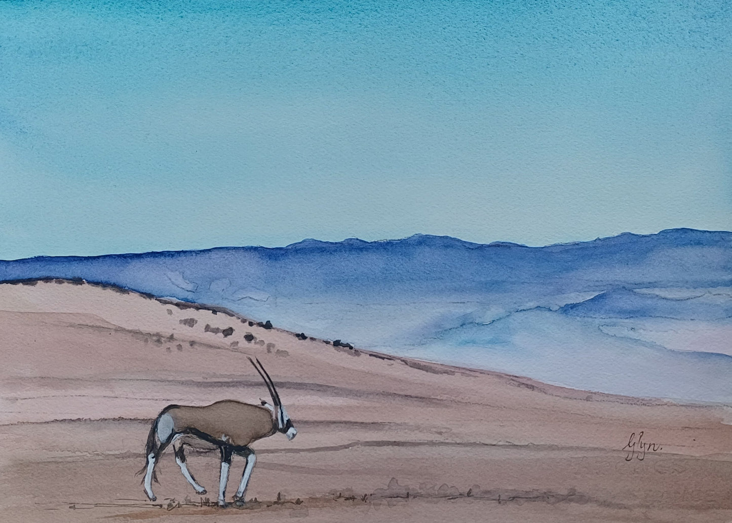 Lonely Gemsbok (Oryx)