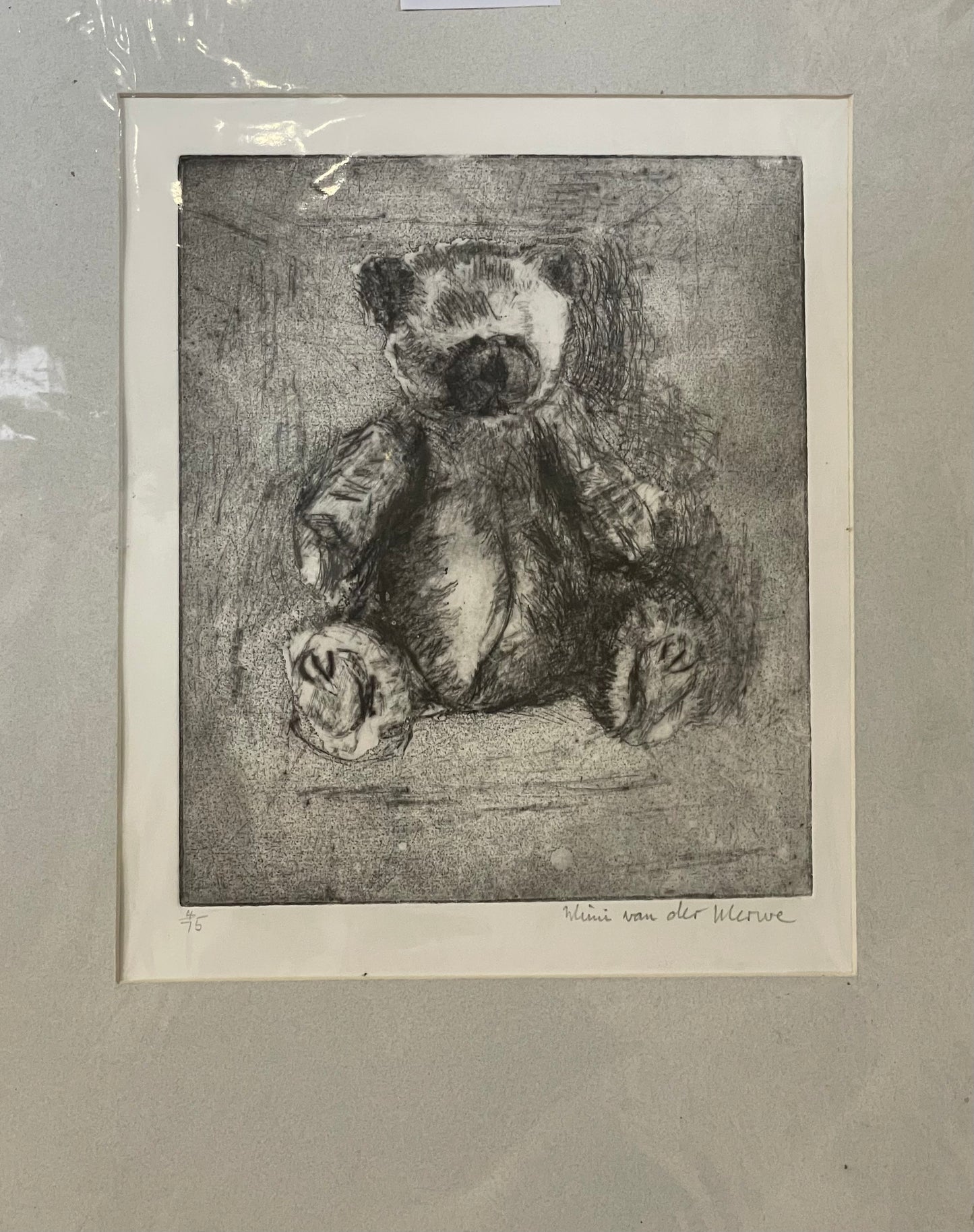 Teddy