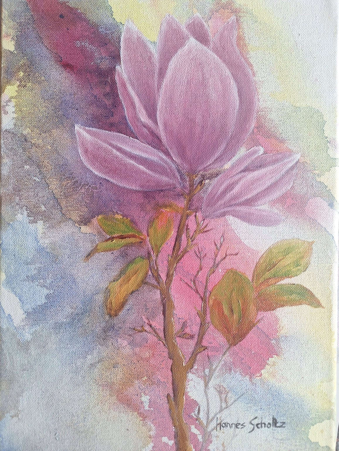 Magnolia blom (Magnolia Flower)