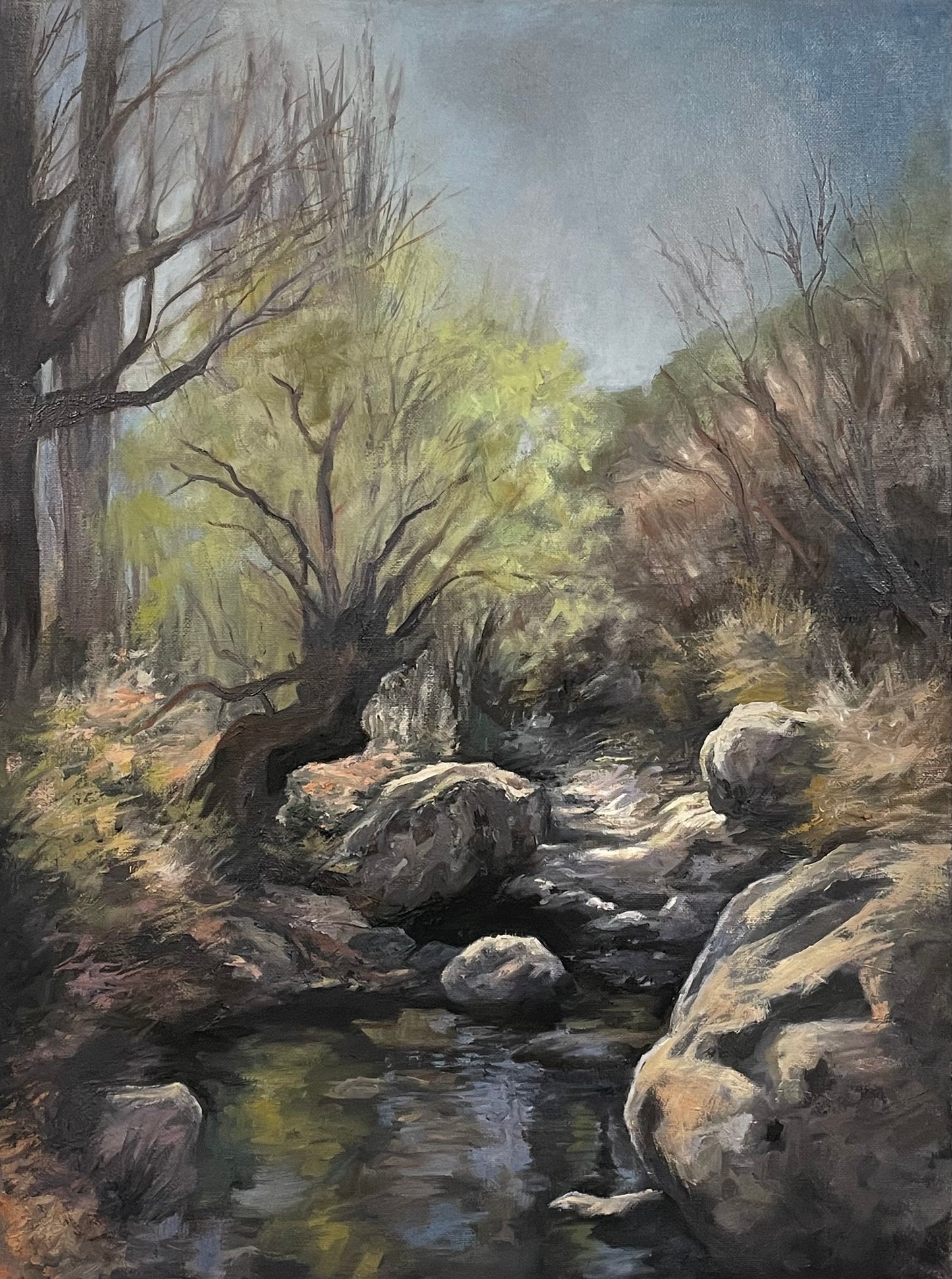 Rocky stream - Clarens