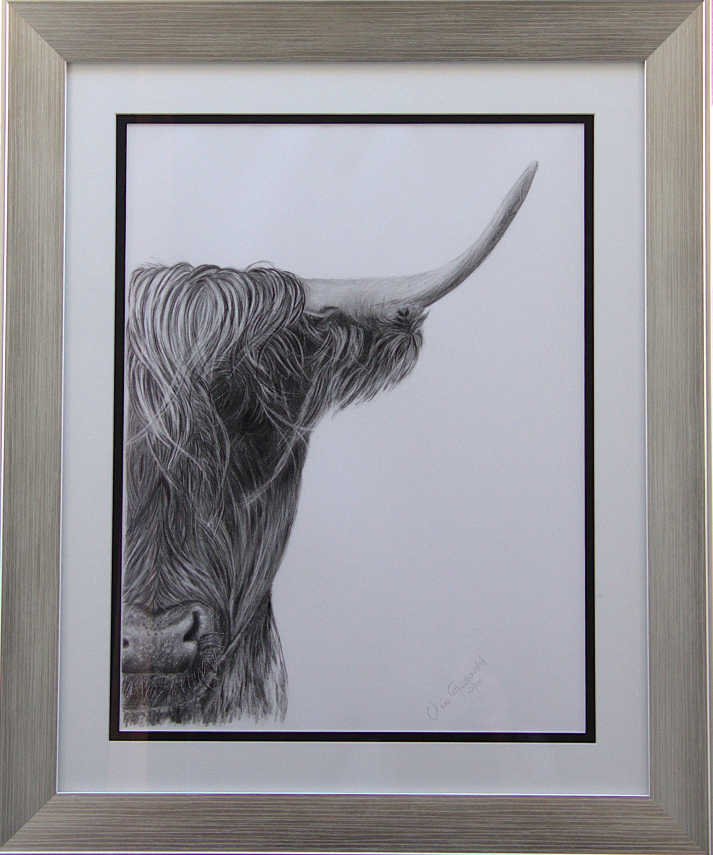 "No Bull" 2/100