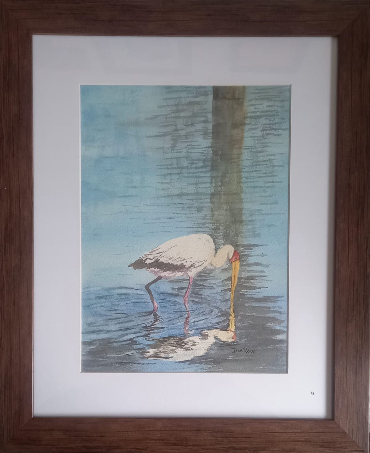 Yellowbilled Stork