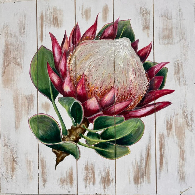 Protea