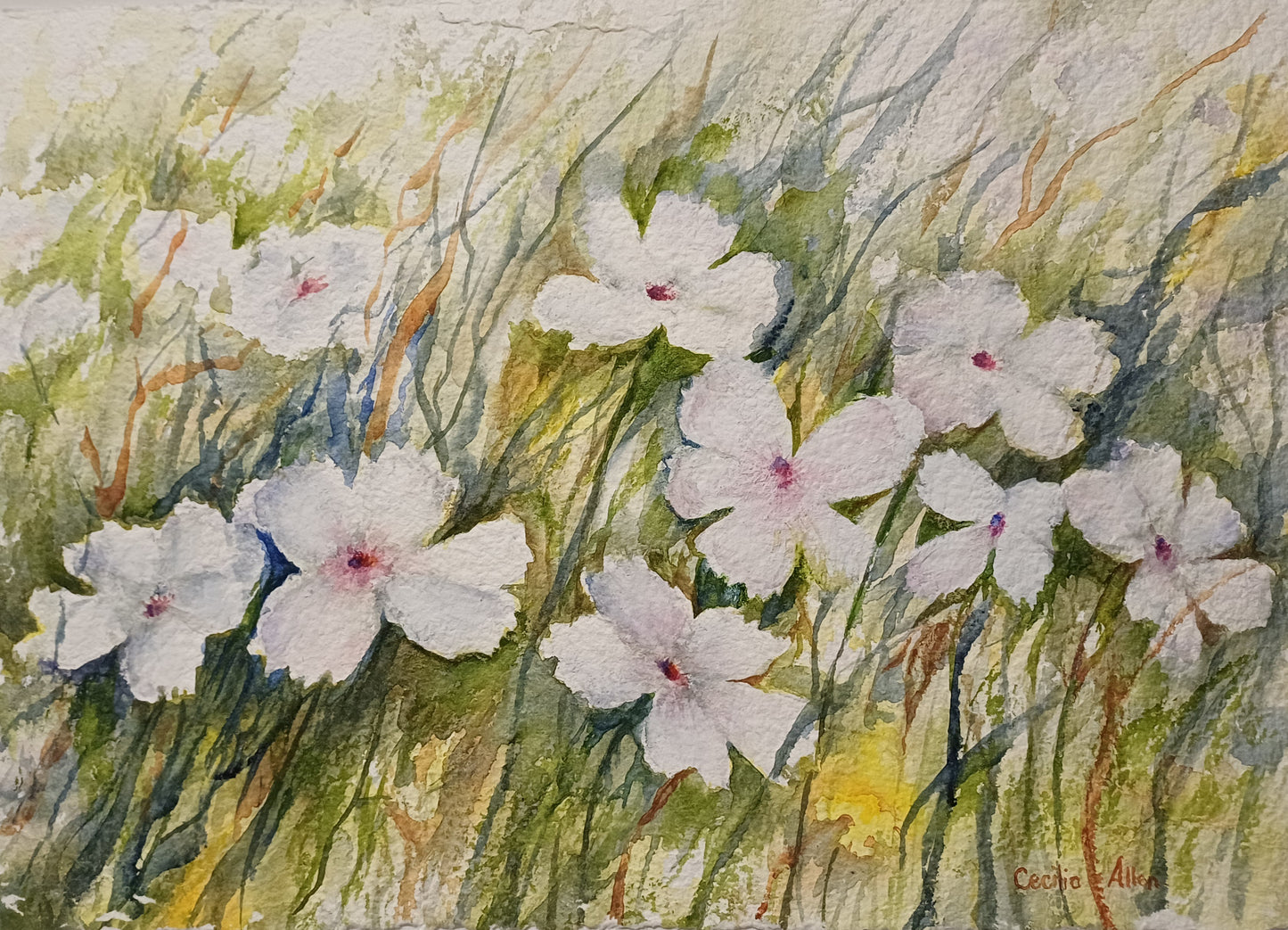Purity