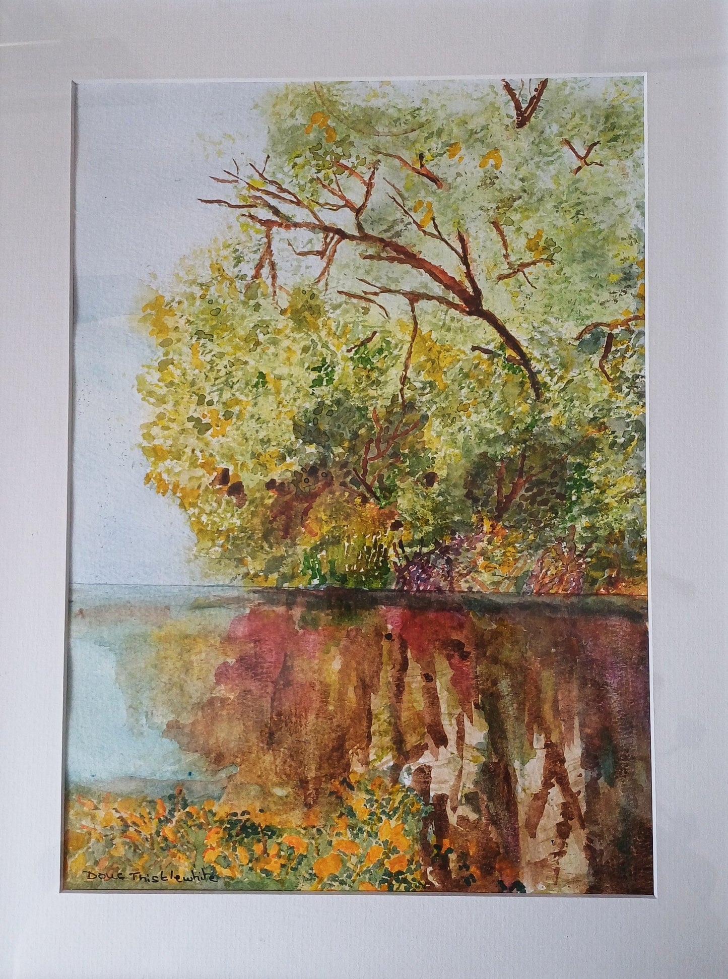 Reflections