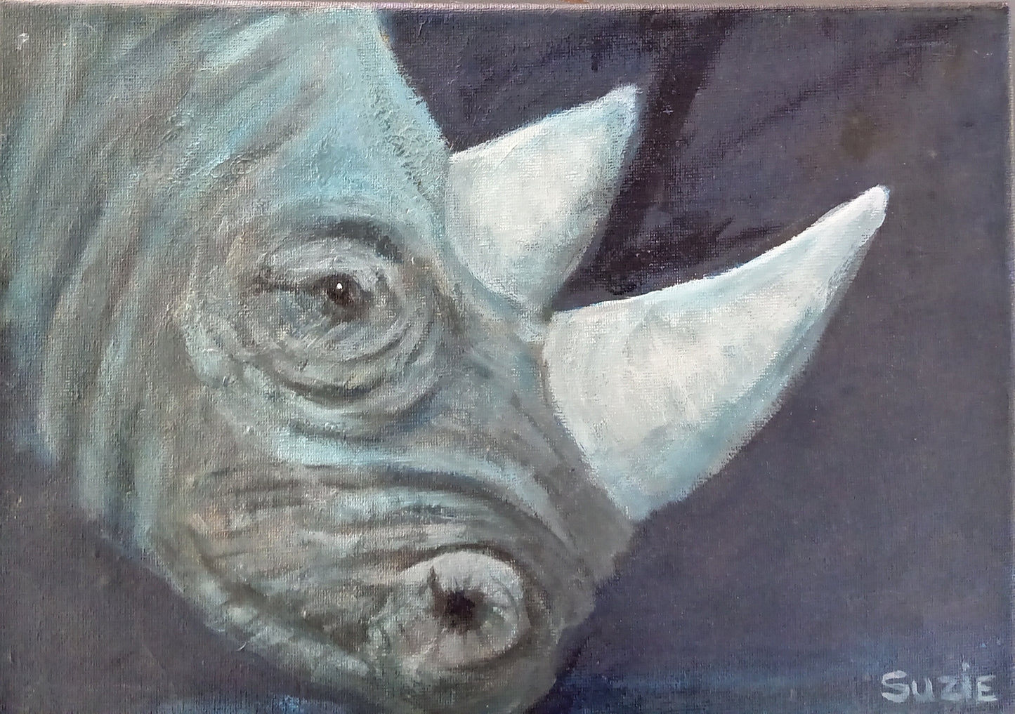 Rhino (Renoster) 1