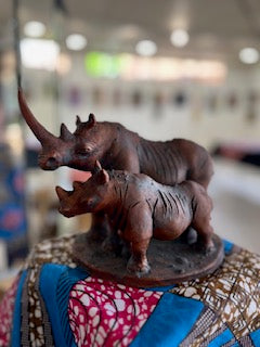 Rhino and Calf
