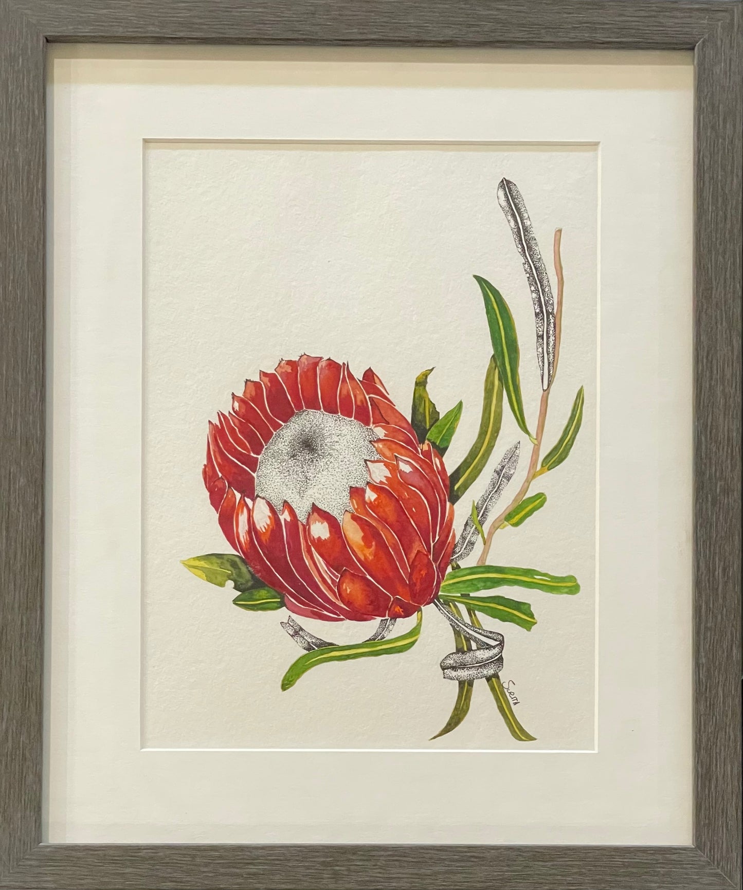 Protea