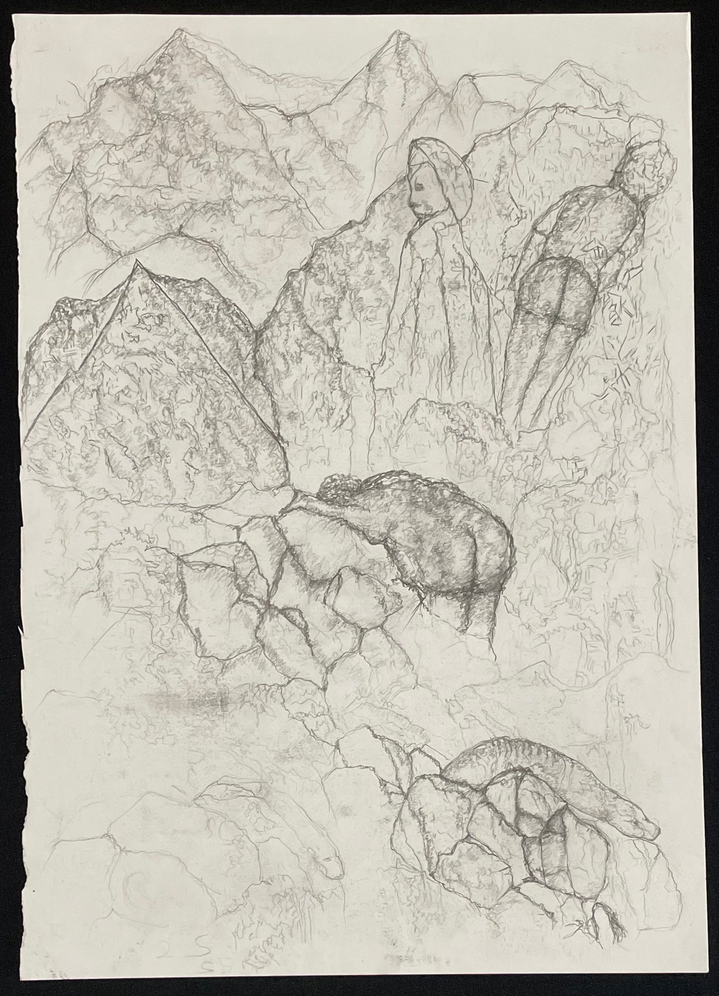 Growing in the mountains