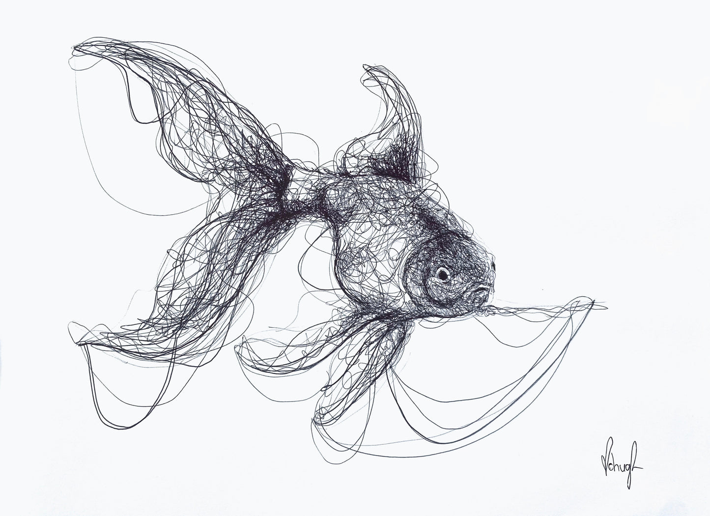 Scribble Fish