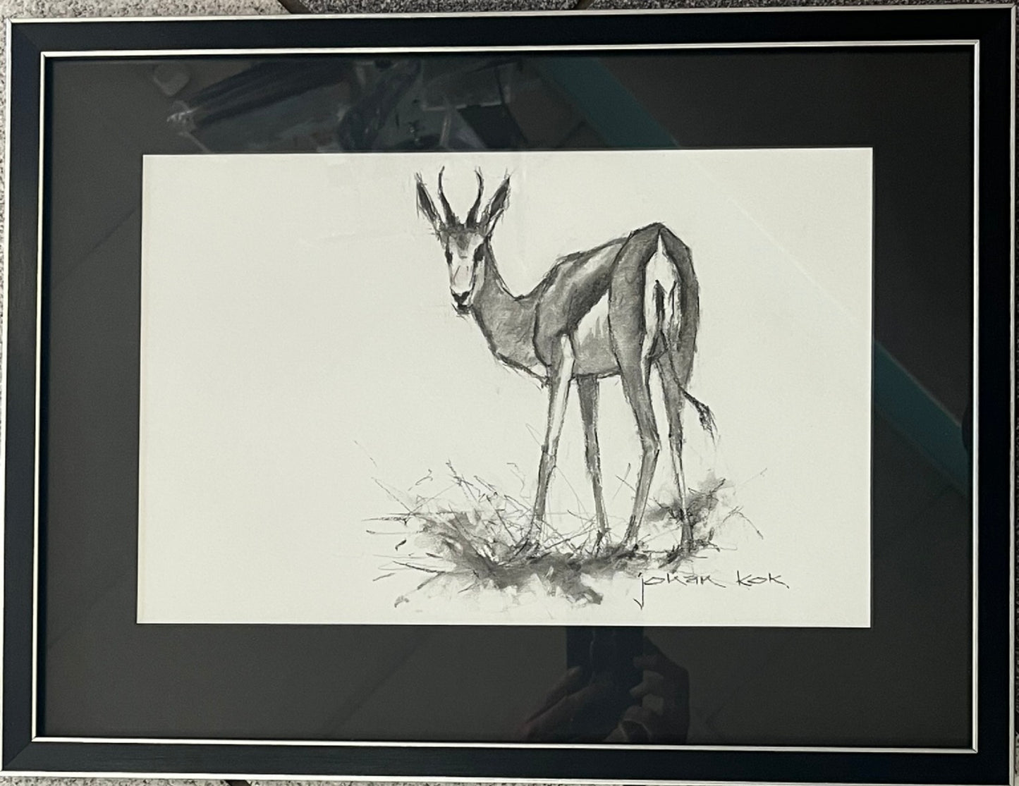 Springbok 7 Alert