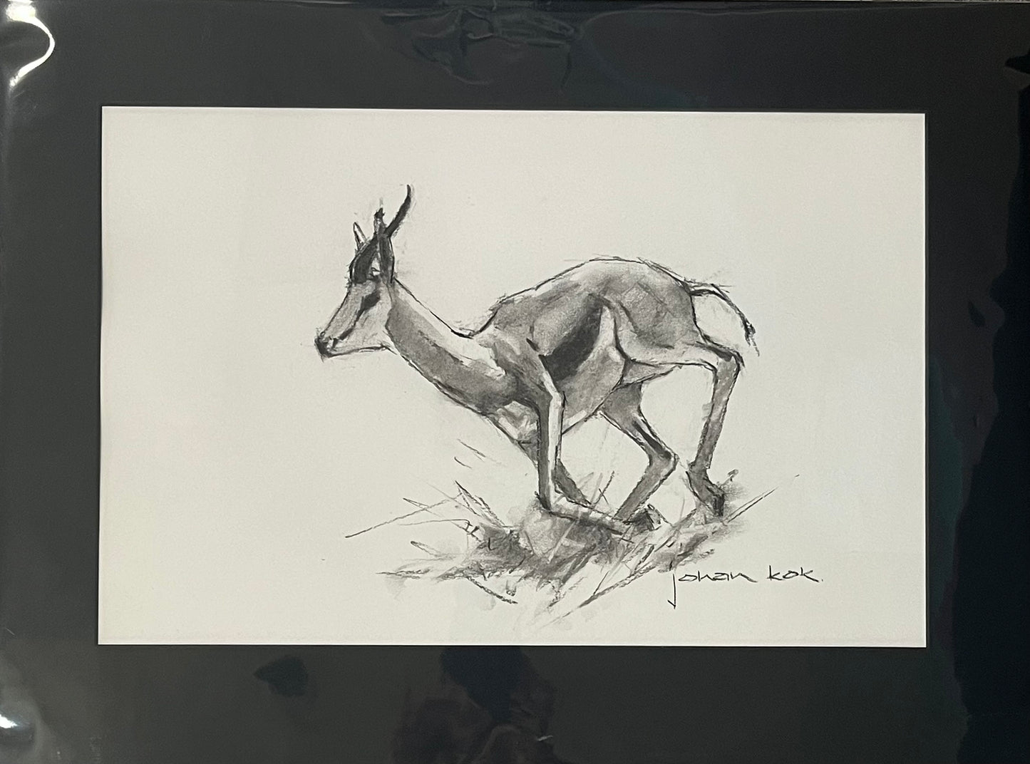 Springbok 3 On the Run