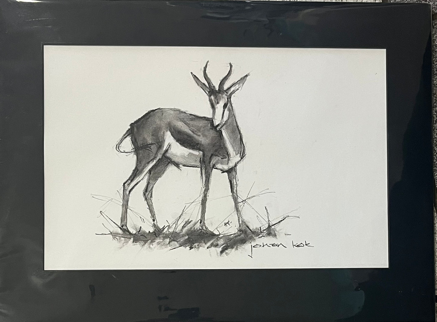 Springbok 6 Lookout