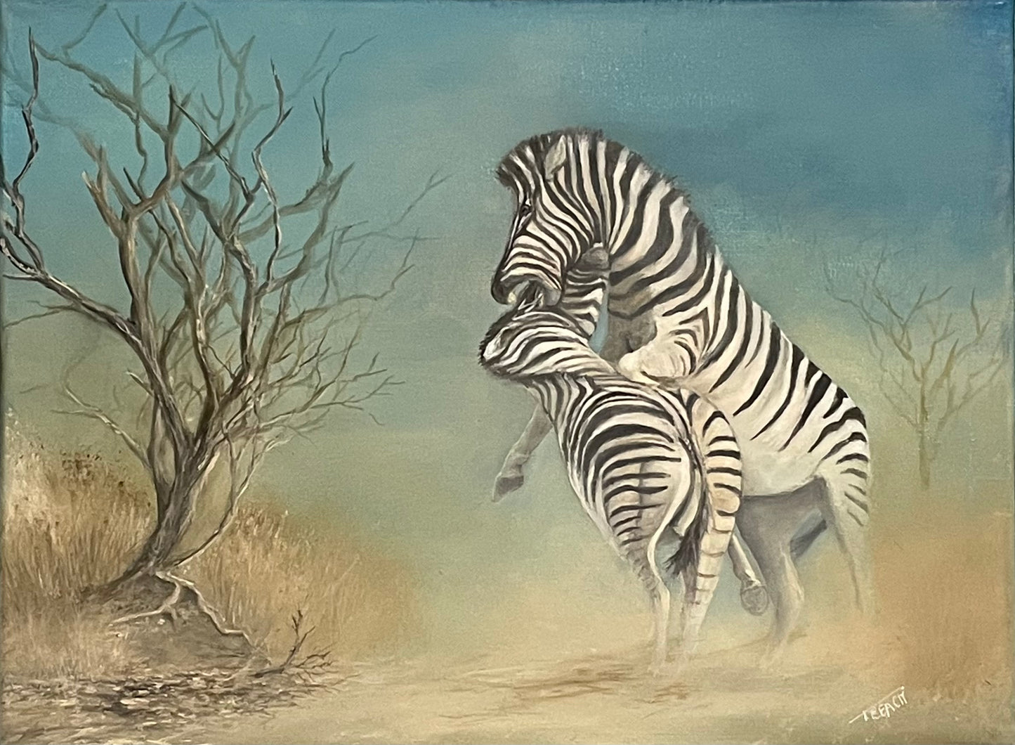 Zebra domination