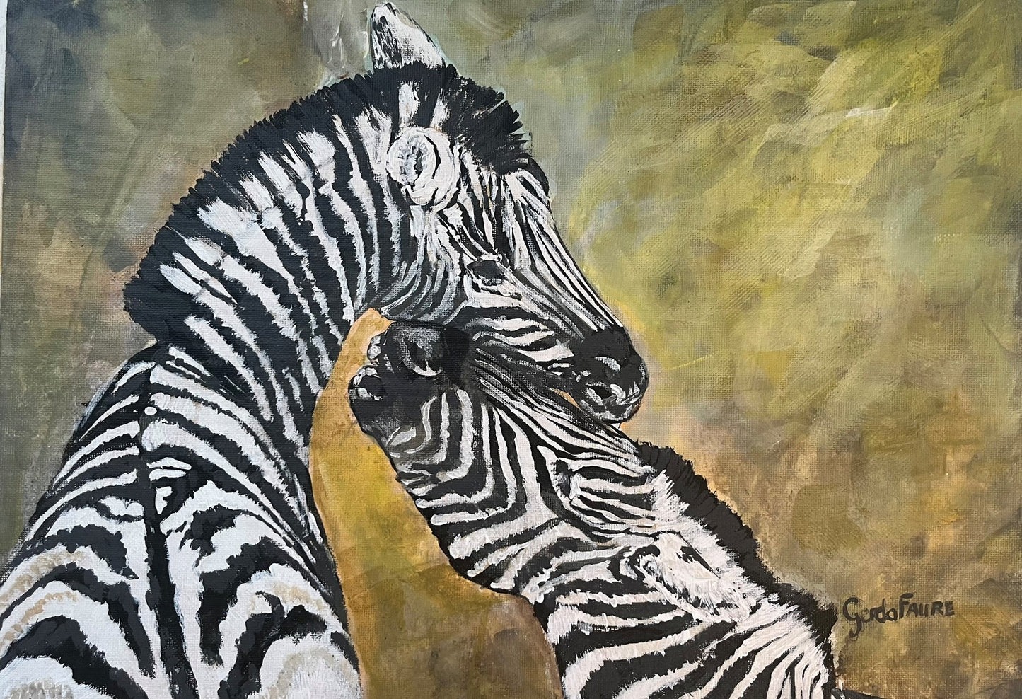 Two Zebra