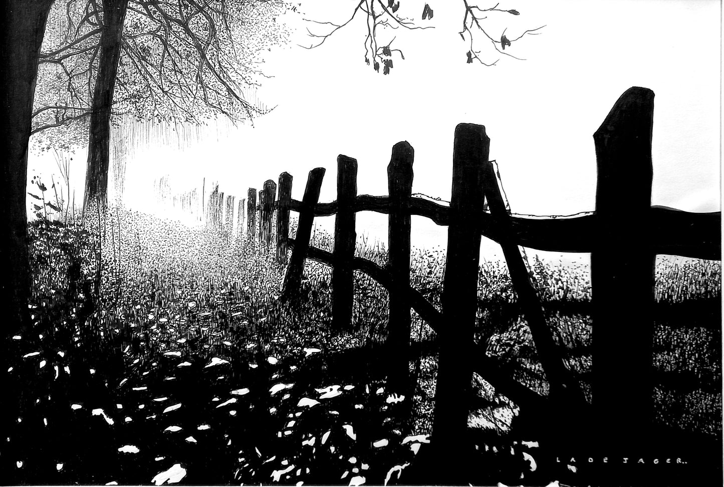 Vanishing Lines