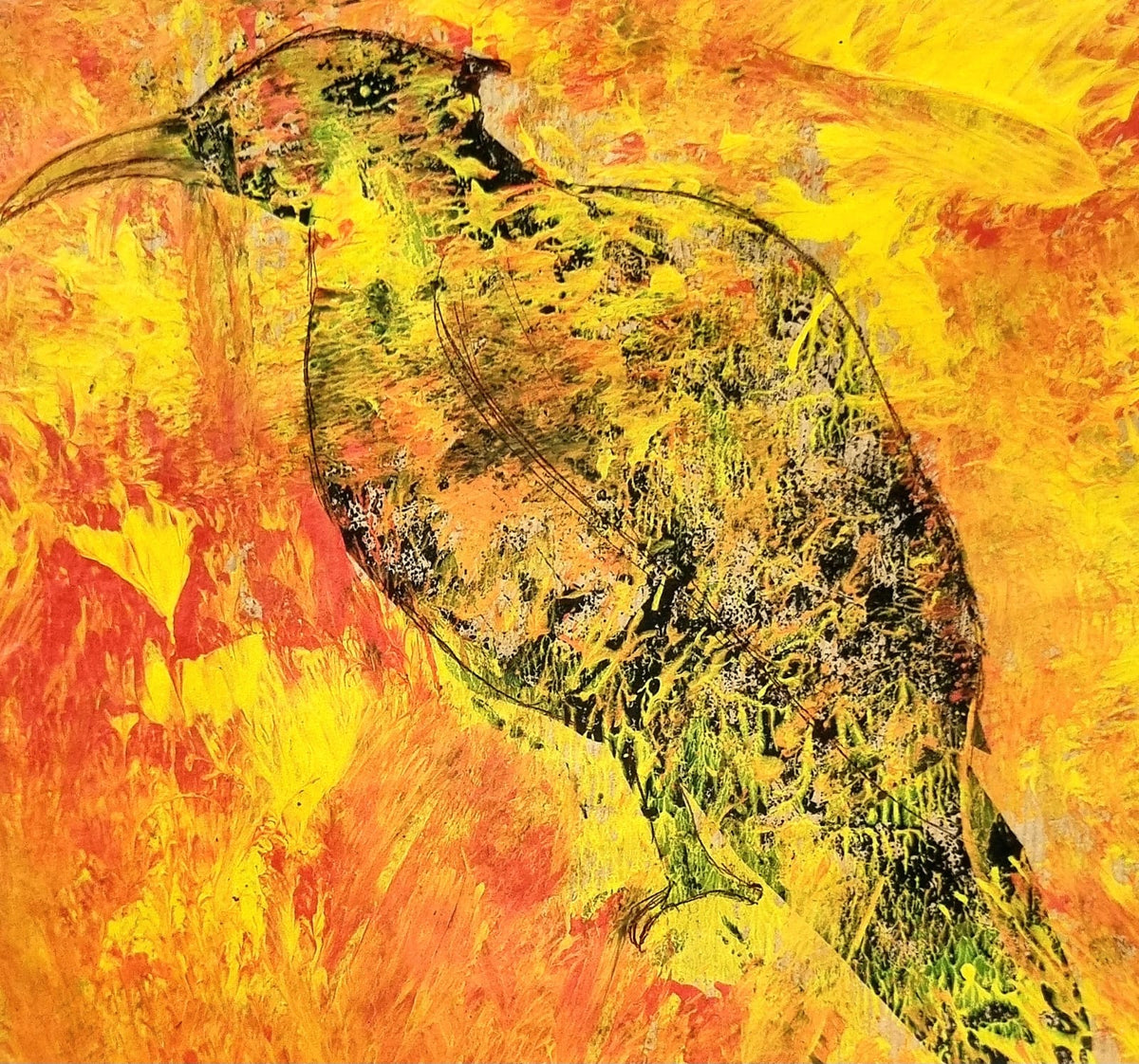 Cuckoo Bird