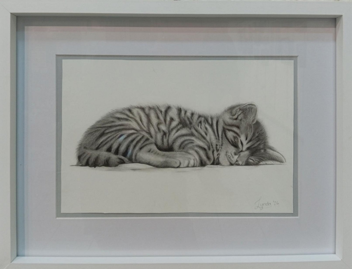 Whiskered Dreams