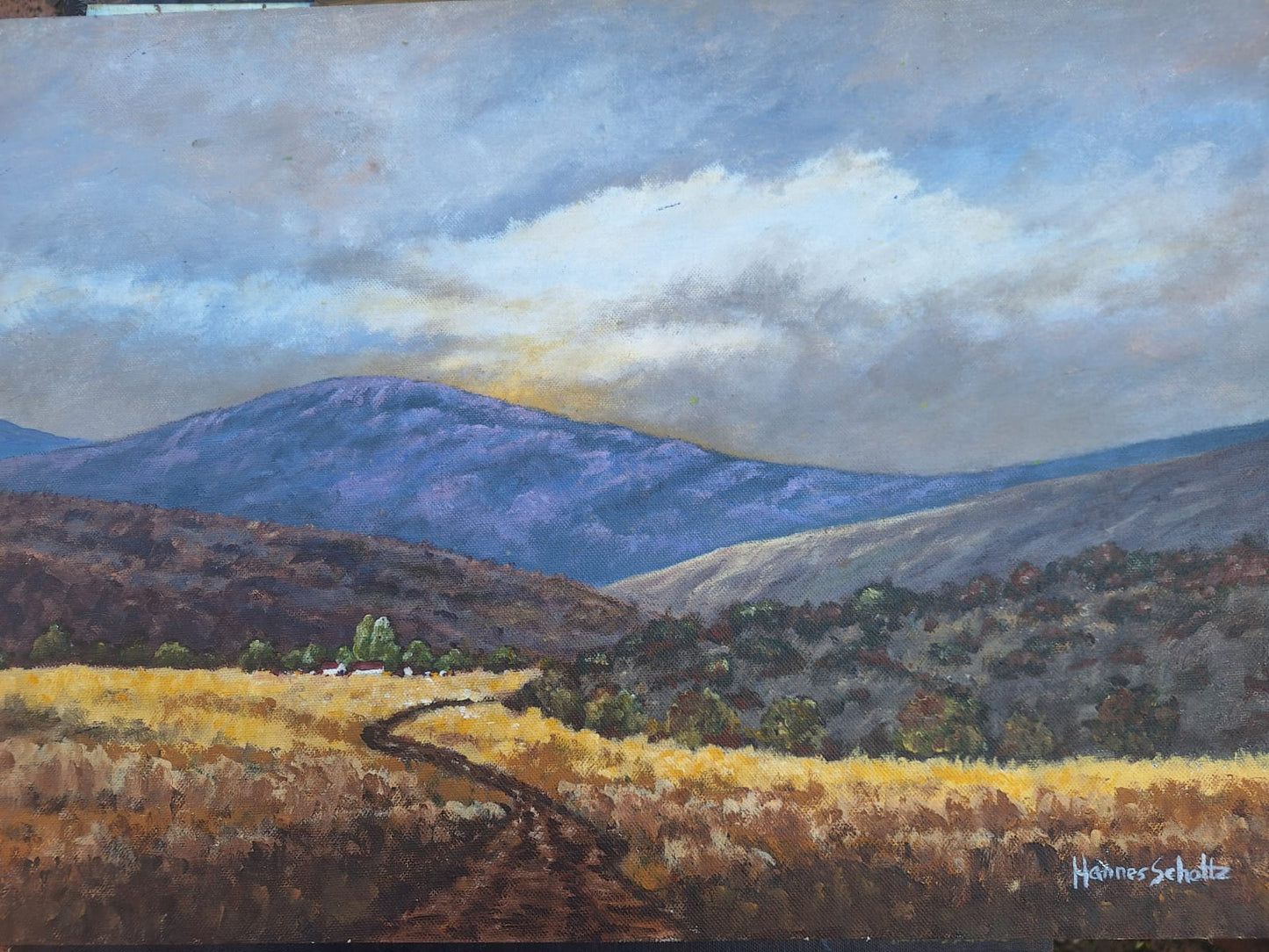 Winter Landscape