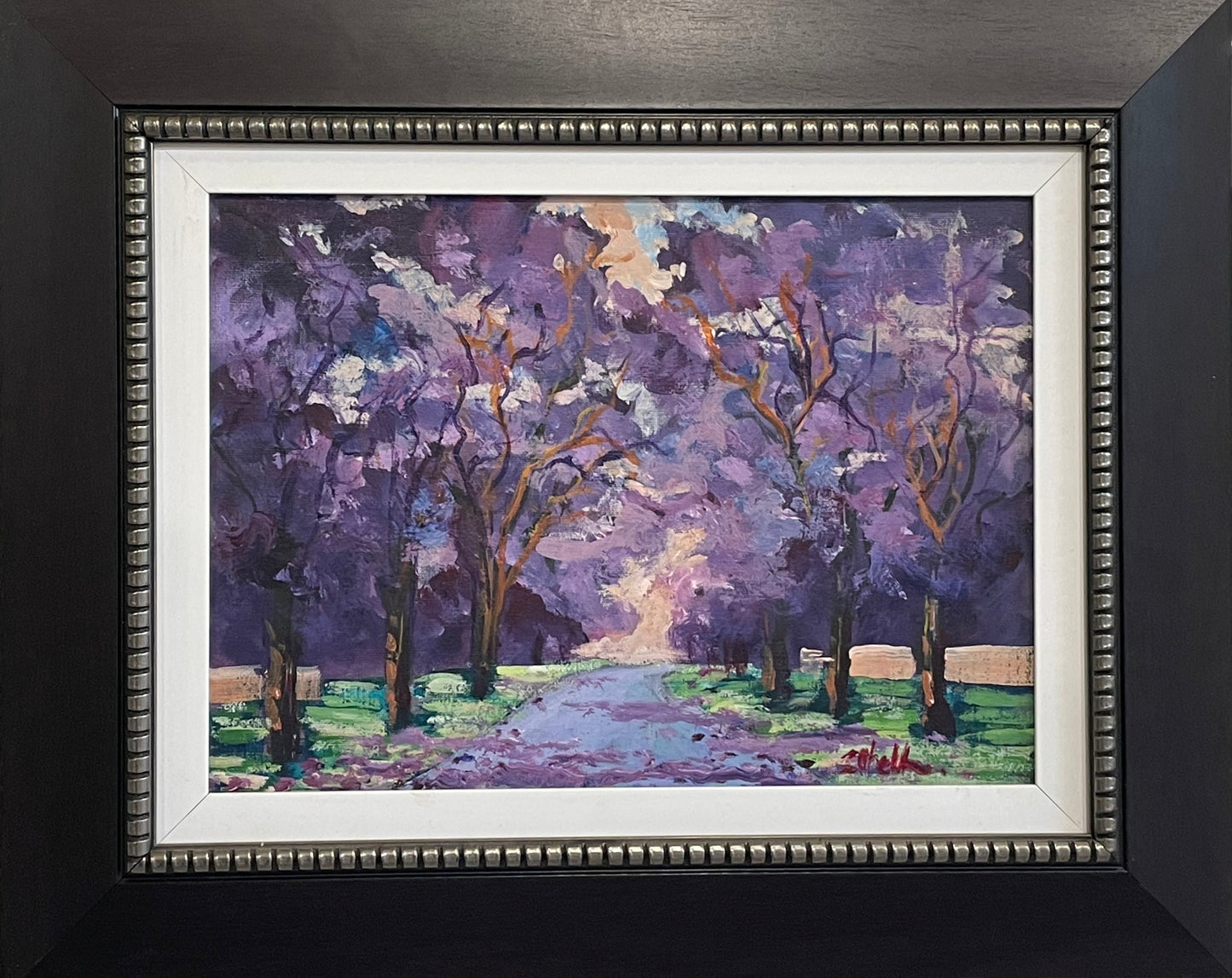 Jacarandas in Brooklyn