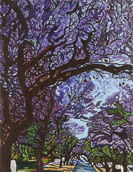 Jacarandas with Pods
