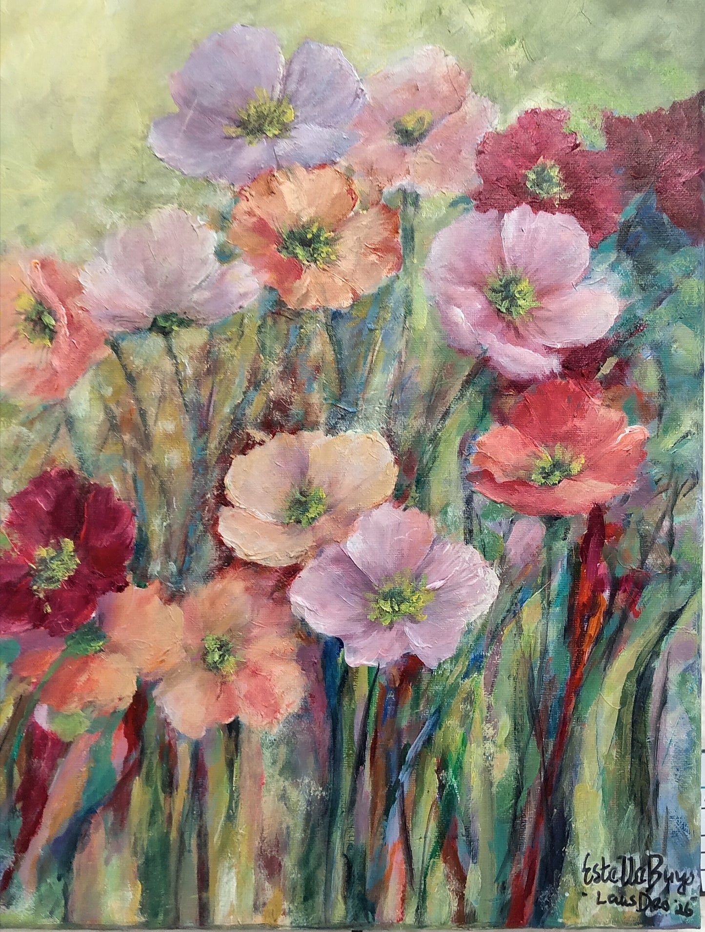 Windpapawers (Wind Poppies)