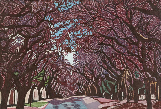 Jacaranda Avenue