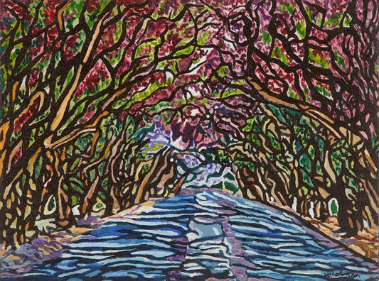 Avondale Jacarandas